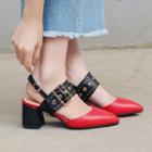 Pointy Toe Chunky Heel Buckled Sandals