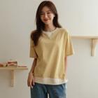 Raglan Ribbed-trim Stripe T-shirt