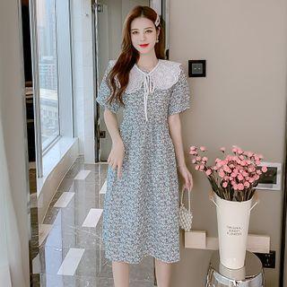 Short-sleeve Lace Collared Floral Dress