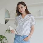 Notch-collar Pintuck-sleeve Striped Blouse