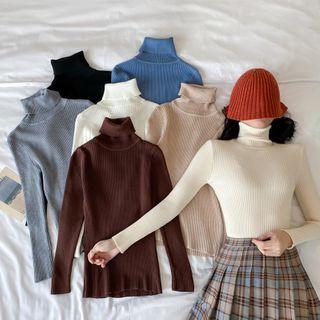 High-neck Long-sleeve Ribbed Knit Top