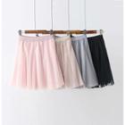 Mini A-line Mesh Skirt