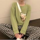 Set: Cropped Sweatshirt + Bear Crossbody Bag