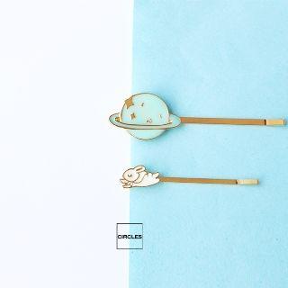 Hair Pin / Brooch