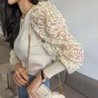 Lacy Mesh-sleeve Knit Top