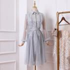 Set: Mesh Panel Ruffled A-line Dress + Camisole