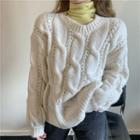 Chunky Cable Knit Sweater / Long-sleeve Turtleneck Top