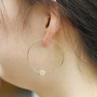 Cicle Earring