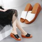 Wedge Heel Slide Sandals