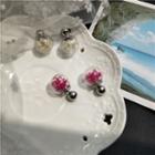 925 Sterling Silver Glass Dried Flower Through & Through Earring