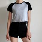 Color-block Crewneck Raglan-sleeve T-shirt