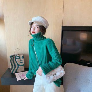 Plain Turtleneck Long-sleeve Rib Knit Sweater