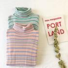 Turtleneck Striped Long Sleeve Knit Top
