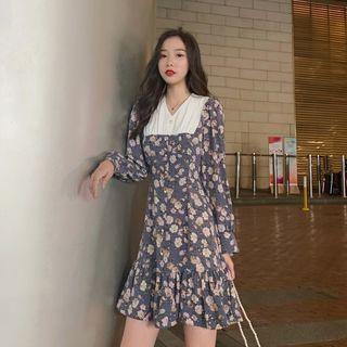 Paneled Long-sleeve Floral Print A-line Dress