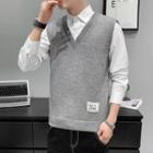 V-neck Applique Sweater Vest (various Design)