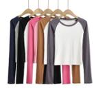 Long Raglan Sleeve Color-block T-shirt