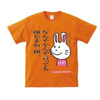 Funny Japanese T-shirt Invective Rabbit Face Is The Most Important, Right?