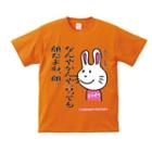 Funny Japanese T-shirt Invective Rabbit Face Is The Most Important, Right?
