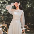 Plain Long-sleeve Mesh Dress