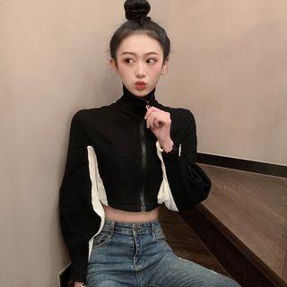 Color Block Long-sleeve Crop Top