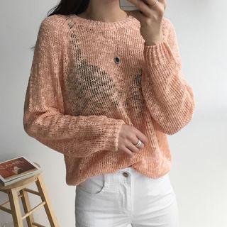 Raglan-sleeve Sheer Lightweight Knit Top