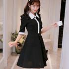 Color Panel Elbow Sleeve Collared Dress