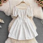 Puff Sleeve Lace Up Lace Dress