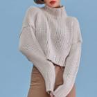 Mock-neck Crop Chunky Sweater