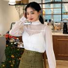 Tie-neck See-through Blouse