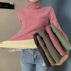 Cowl-neck Slim-fit Knit Top In 6 Colors
