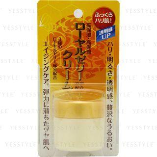 Brilliant Colors - Remoist Cream 30g