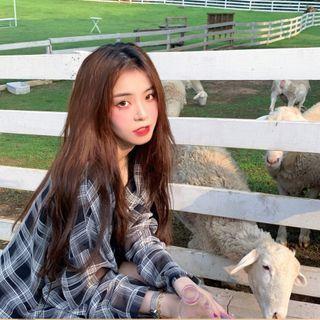 Plaid Shirt / Short-sleeve Slit Mini Sheath Dress