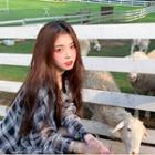 Plaid Shirt / Short-sleeve Slit Mini Sheath Dress