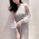 Sequin Mesh-sleeve A-line Midi Dress