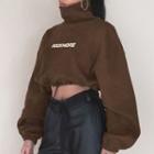 Mock-neck Long-sleeve Crop Sweater