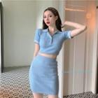 Set: Short-sleeve Polo Knit Top + Knit Skirt