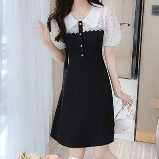 Short-sleeve Collared Lace Panel Mini A-line Dress