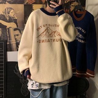 Print Contrast Trim Sweater