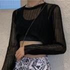 Long-sleeve Sheer Knit Crop Top