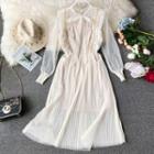 Set: Long-sleeve Midi Pleated Mesh Dress + Spaghetti Strap Mini Dress