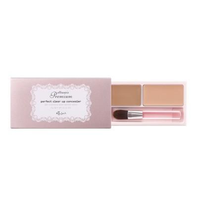 Ettusais - Premium Perfect Clear Up Concealer Spf 25 Pa+++ 4g
