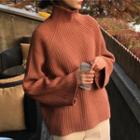 Turtle Neck Rib-knit Sweater