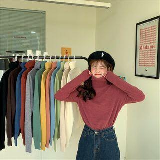 Plain High-neck Top