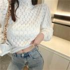 Lace Mock-neck See-through Long-sleeve Top