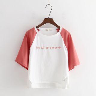 Lettering Embroidered Raglan Short-sleeve T-shirt