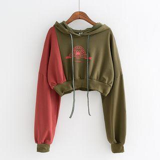 Printed Color Panel Cropped Hoodie