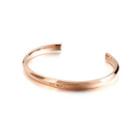 Fashion Simple Plated Rose Gold Geometric 316l Stainless Steel Bangle With Cubic Zirconia Rose Gold - One Size