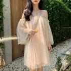 Long-sleeve Off Shoulder Mesh Dress