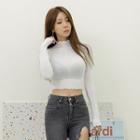 Mock-neck Seam-front Cropped Top