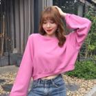 Plain Puff-sleeve Sweatshirt